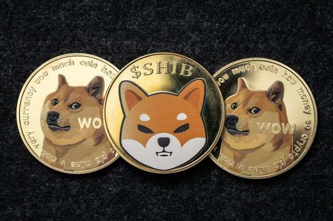 Exchange Advanced Cash RUB to Dogecoin (DOGE)  where is the best exchange rate?