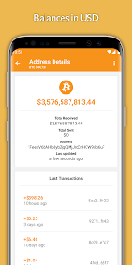 Bitcoin Address | Wallet Lookup - Blockonomics