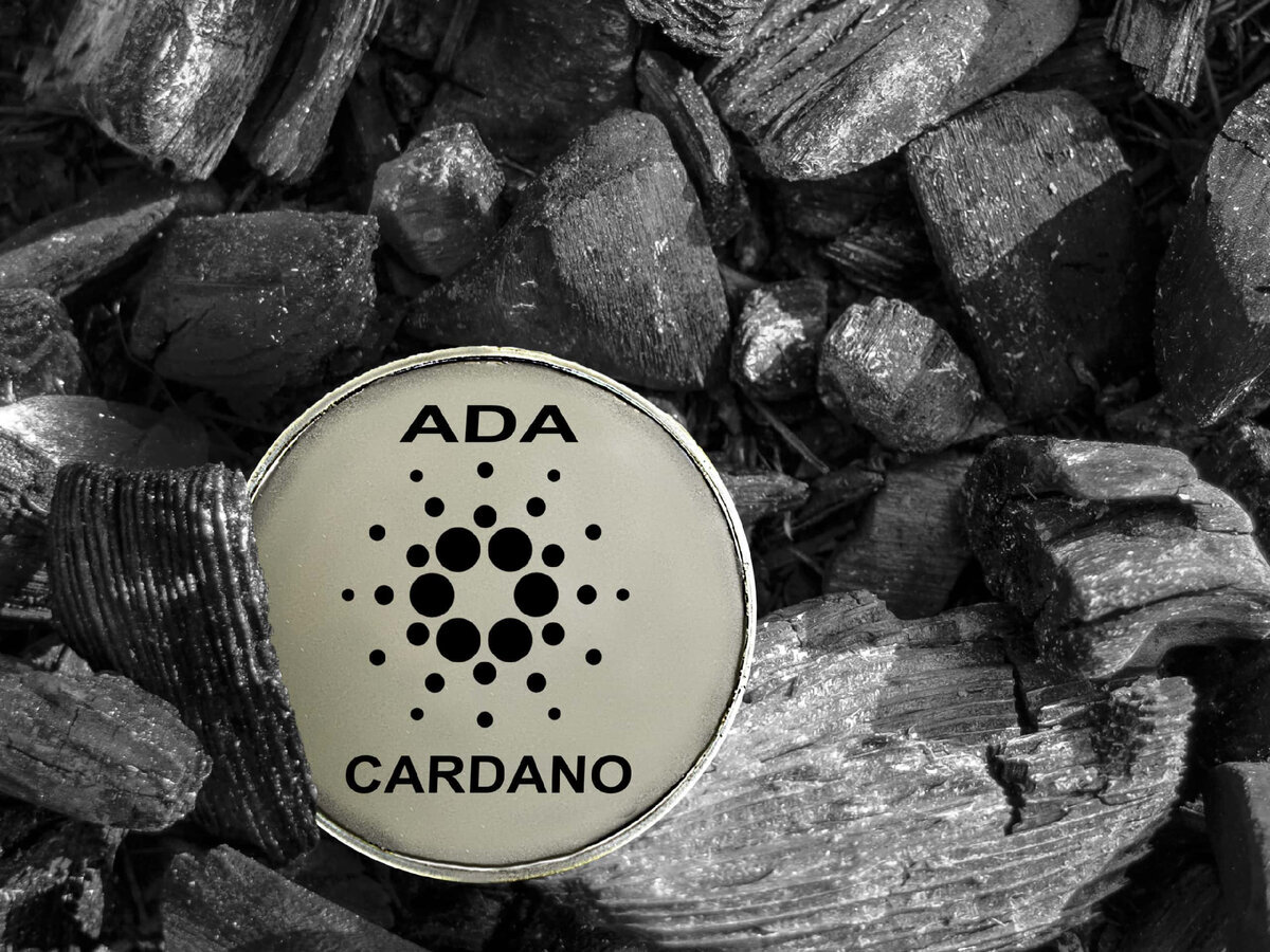 Cardano Is Buzzing With Super Bullish Activity As ADA Adoption Expands To New Realms ⋆ ZyCrypto