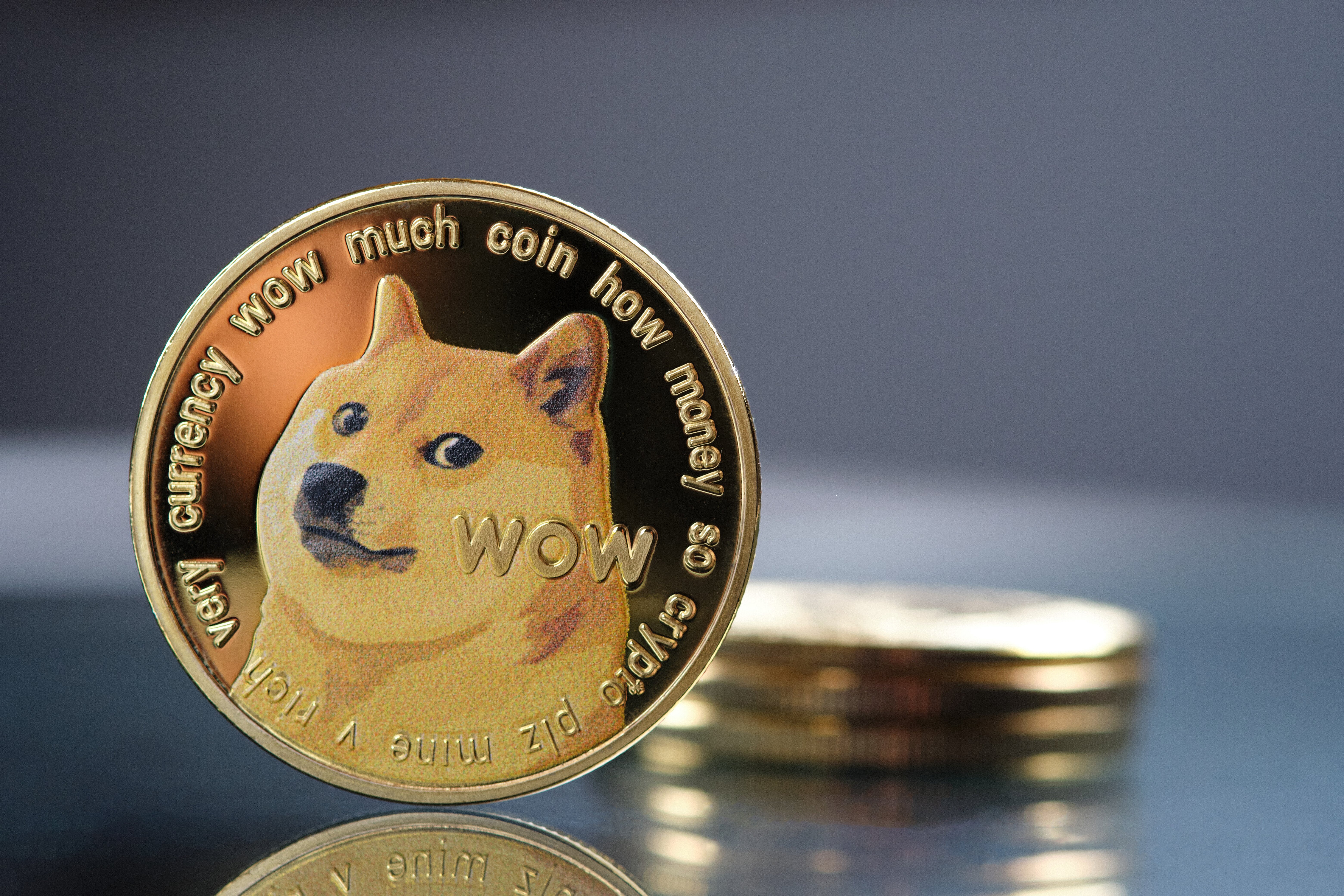 Dogecoin news today