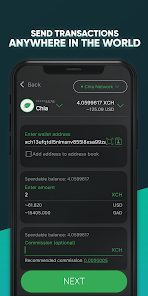 Overview of Easy Chia Storage Wallets - Green Crypto Investment