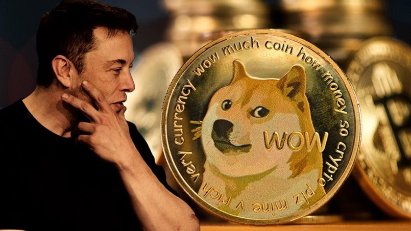 Price of dogecoin rises by 50% following Elon Musk tweet | Stock markets | The Guardian