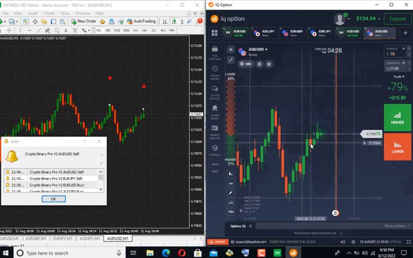 What is Binary Options? Definition of Binary Options, Binary Options Meaning - The Economic Times