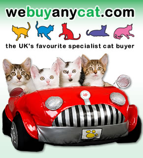 Buy Cat® Parts Online | Louisiana Cat