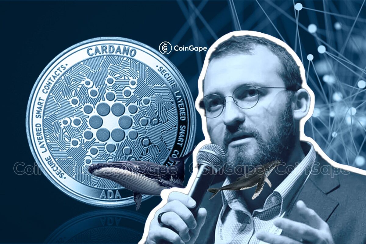 Cardano out of Top 10? Charles Hoskinson Reacts to Epic ADA Prediction