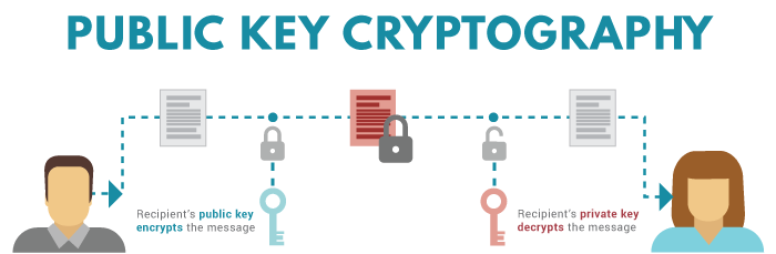 How to Store Crypto Currency - A Wallet Guide | Banked NZ