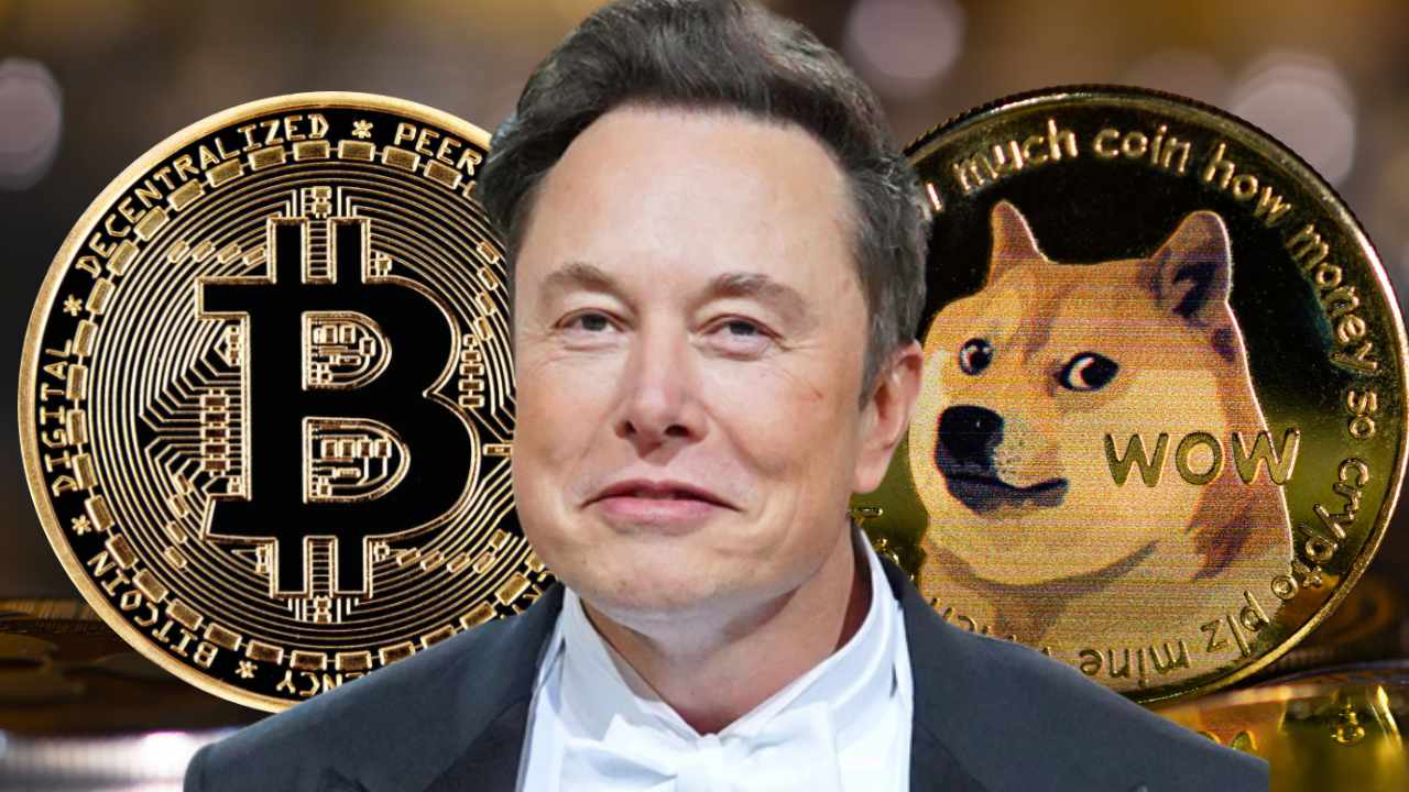 Exchange Bitcoin to Dogecoin - BTC to DOGE - No KYC - Evonax