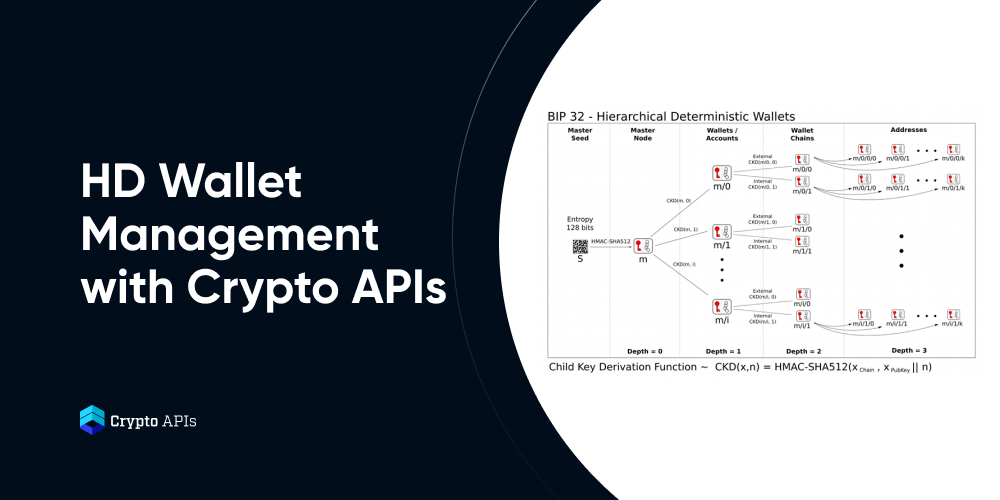 Hierarchical Deterministic (HD) Wallet: Meaning in Cryptocurrency