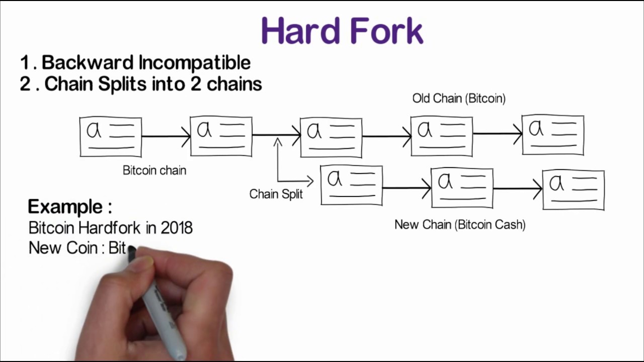 What is a Hard Fork? [With Examples] | OriginStamp