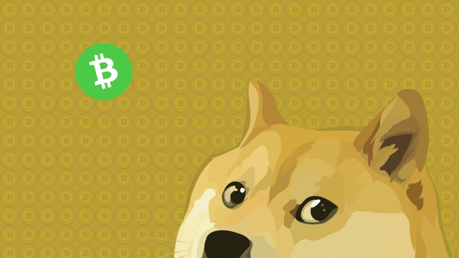 DOGE to BCH Price today: Live rate Dogecoin in Bitcoin Cash