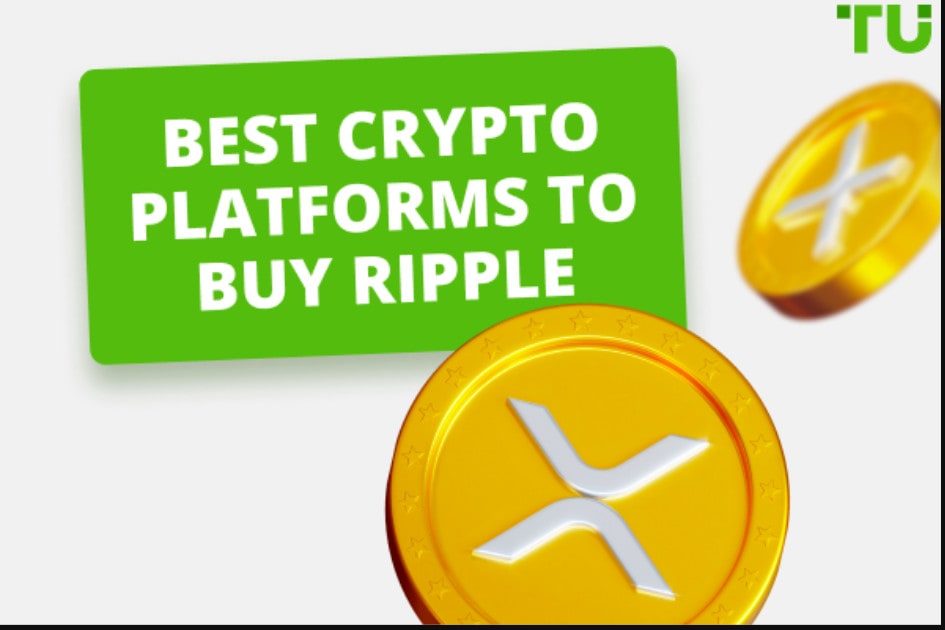 7 Best XRP Wallet (Cold Wallets for Ripple) in 