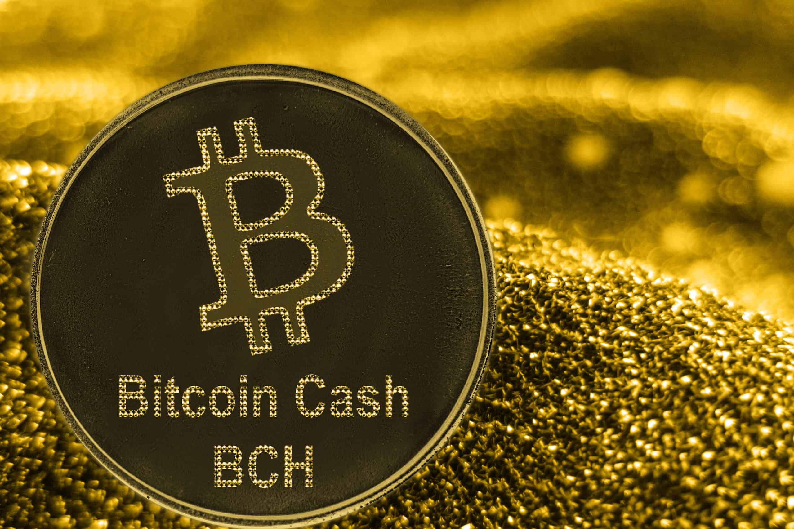 Bitcoin Cash Price Chart Today - Live BCH/USD - Gold Price