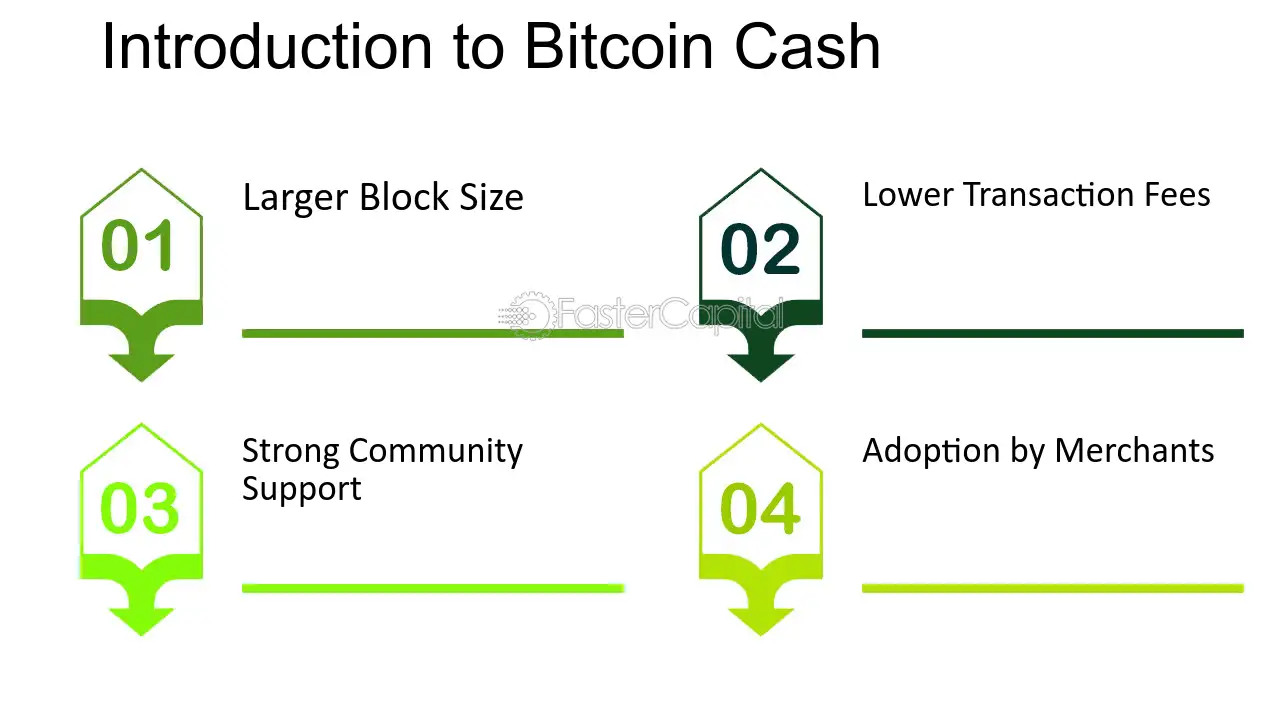 How Does Bitcoin Cash Work? BCH and Electronic Cash | Gemini