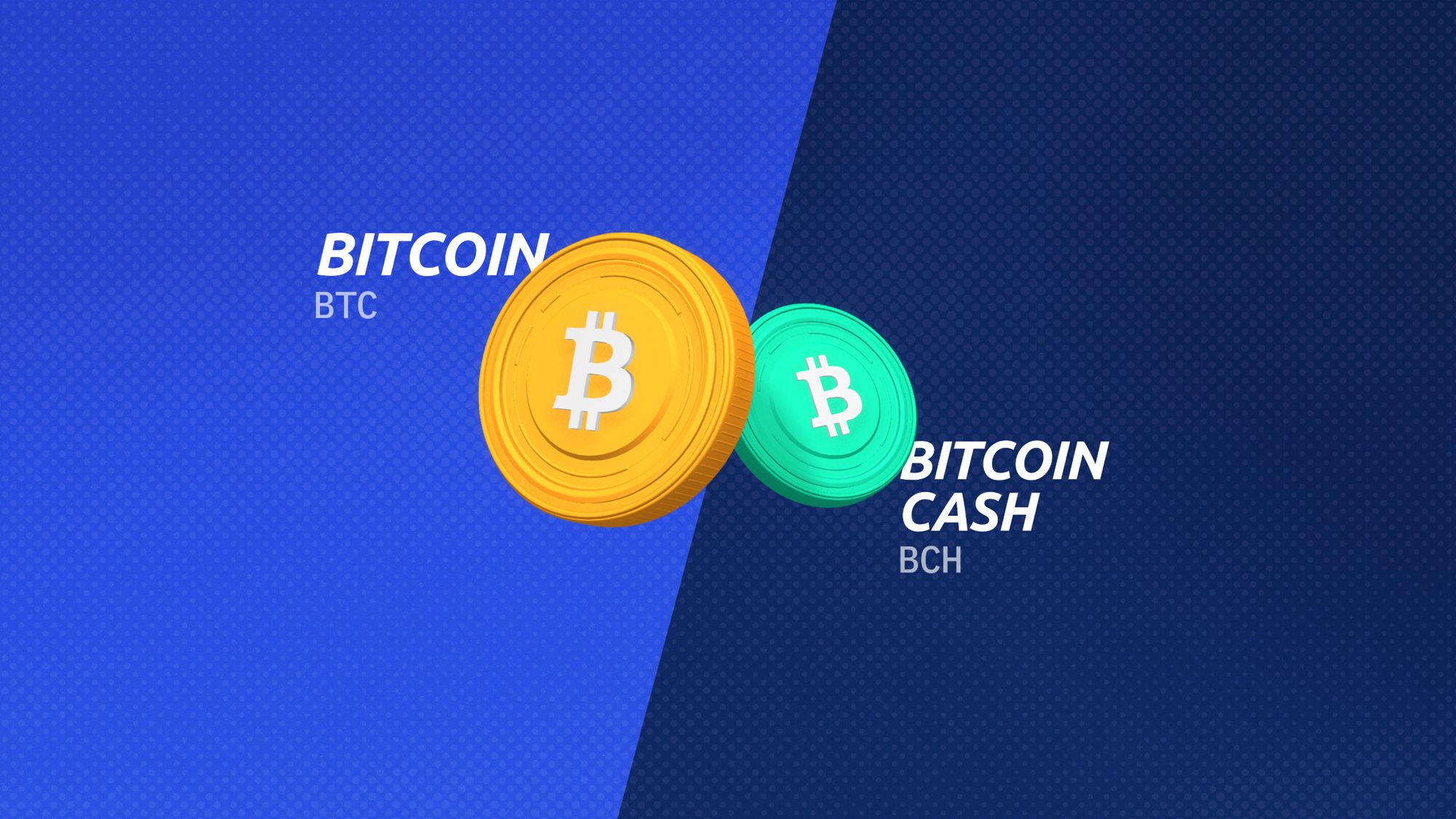 Bitcoin Cash Vs. Litecoin: The Biggest Bitcoin Forks