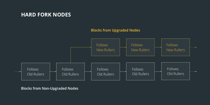 Bitcoin Forks: Protocols, Upgrades, and Changes | Gemini