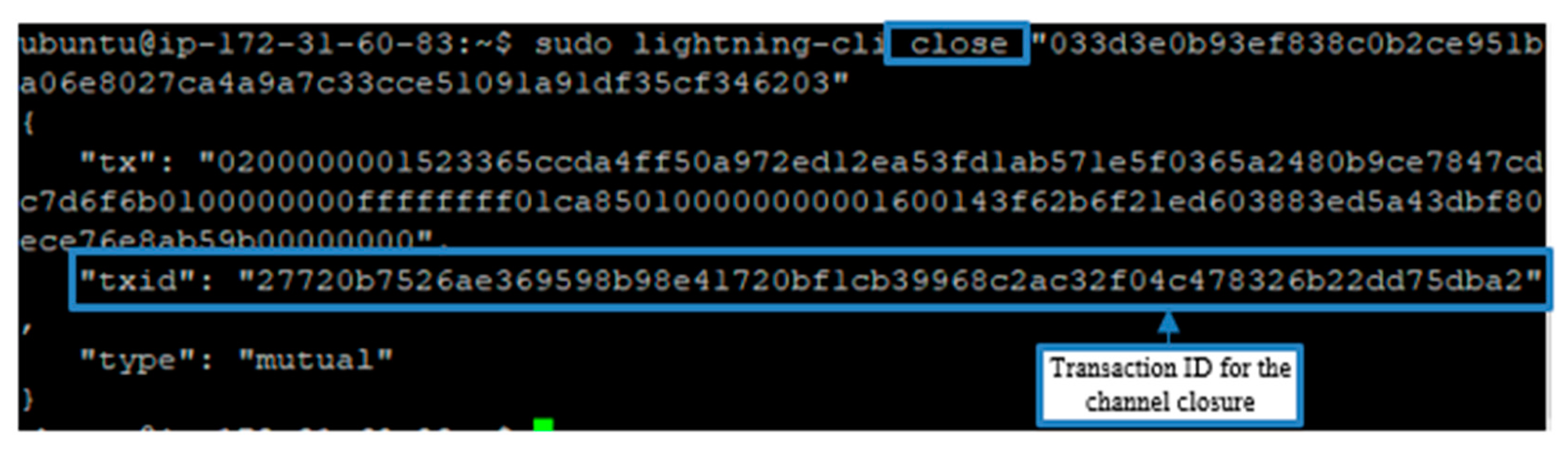 Using Bitcoin s sendmany function with perl | Edureka Community