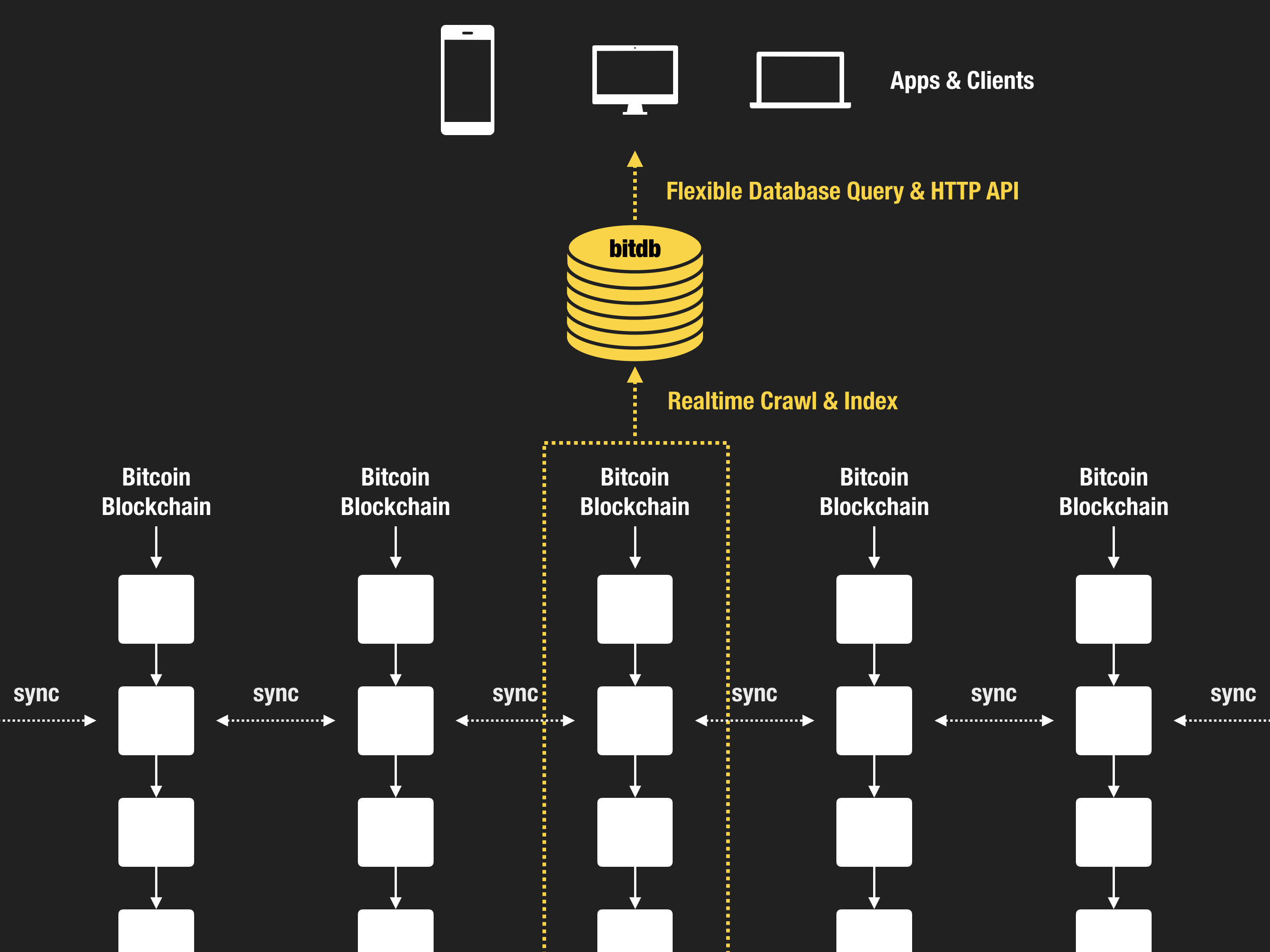 Bitcoin Explorer - cryptolive.fun