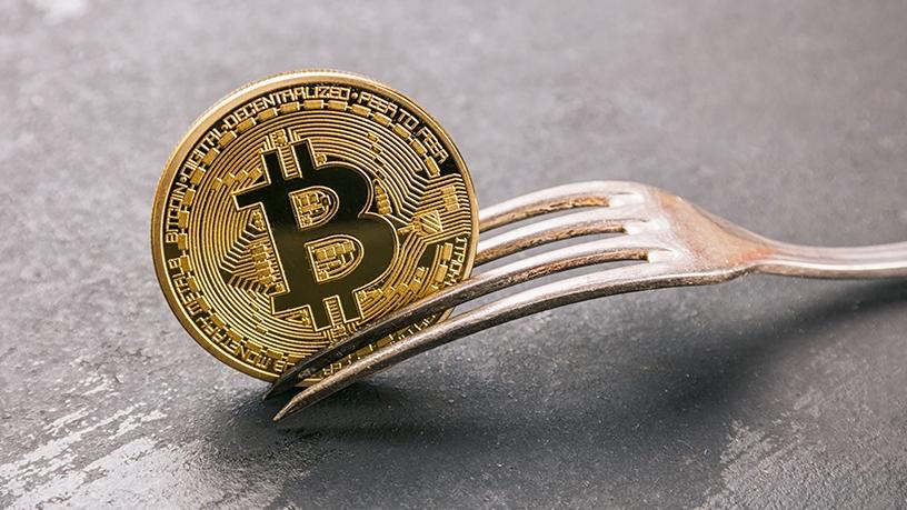 Bitcoin Fork Guide: History and Upcoming Bitcoin Forks