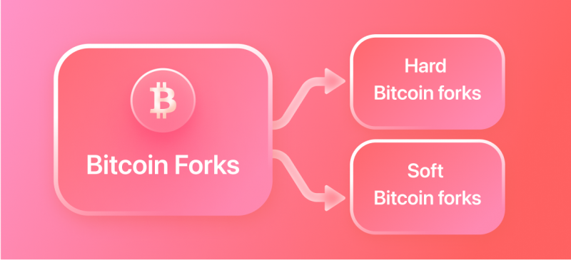 Bitcoin hard fork history: both a split and a growth