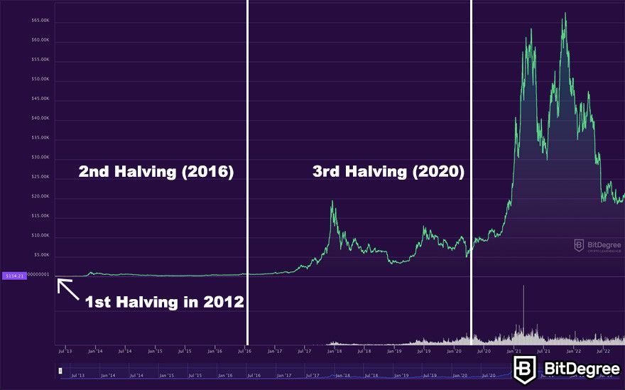 Bitcoin Block Reward Halving Countdown