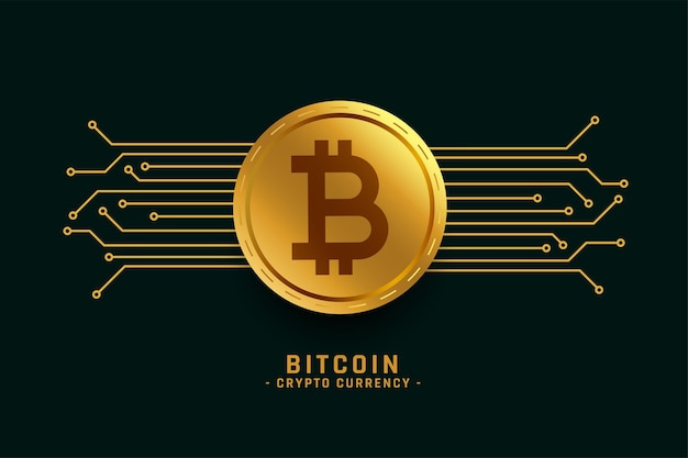 Bitcoin Logo Projects :: Photos, videos, logos, illustrations and branding :: Behance