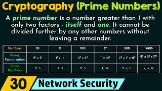 Where to Buy PRNT (Prime Numbers Ecosystem)? Exchanges and DEX for PRNT Token | cryptolive.fun