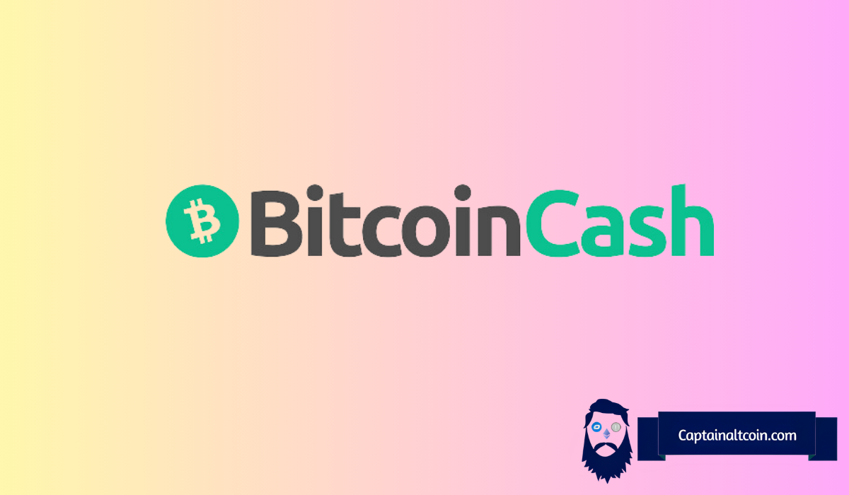 9 Best Bitcoin Cash Wallets (BCH) (Android, Windows, IOS And Mac)