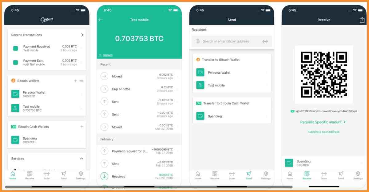 Best Bitcoin Wallets for iOS: iPhone, iPad - Crypto Pro