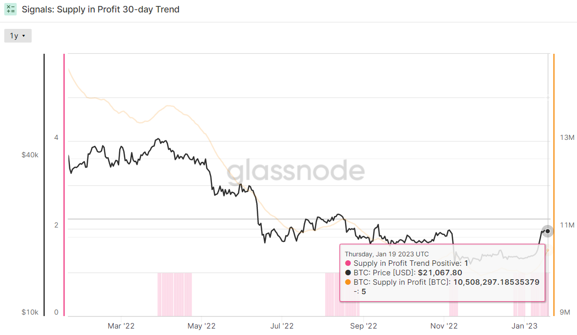 BTCUSD - Bitcoin - USD Cryptocurrency Performance Report - cryptolive.fun