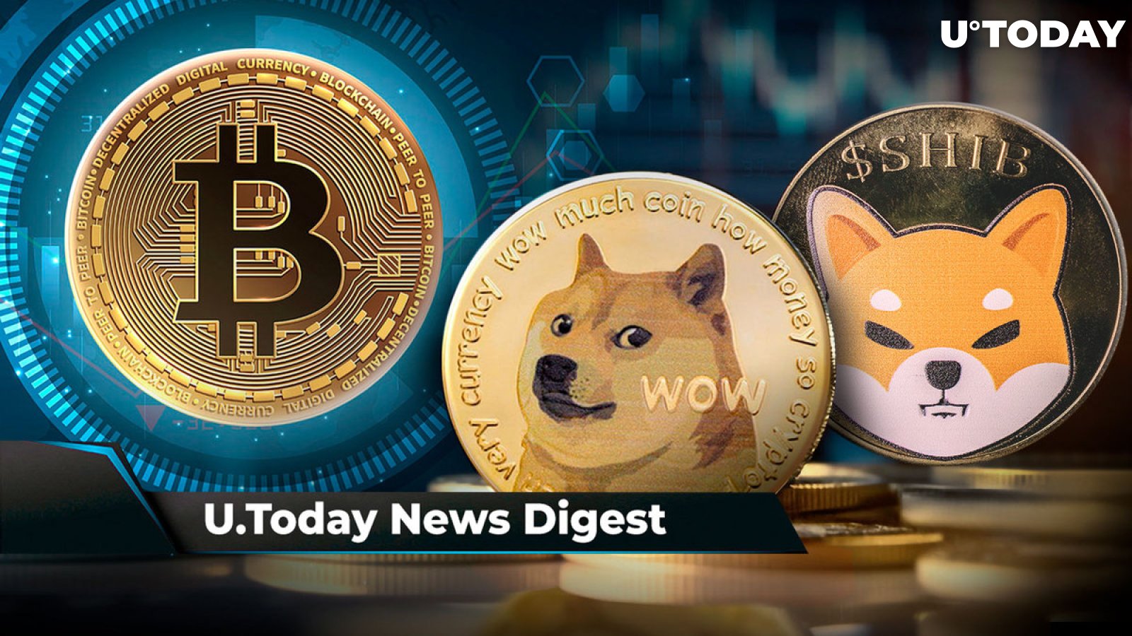 Swap DOGE to BTC | Dogecoin to Bitcoin Crypto Exchange | SwapSpace