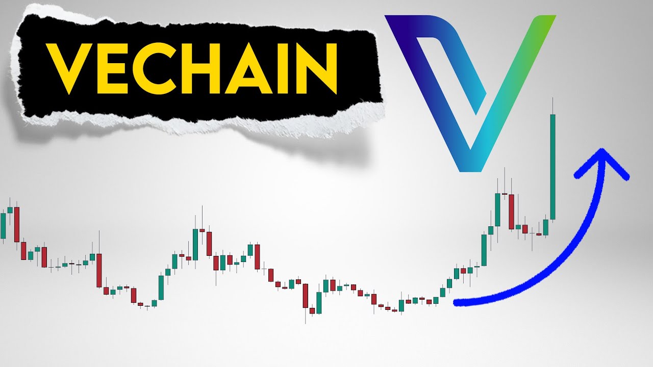 VeFam Reveals Price Targets: VeChain Towards New Record Highs?