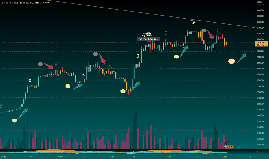 BitMEX's Bitcoin Soars to the Moon