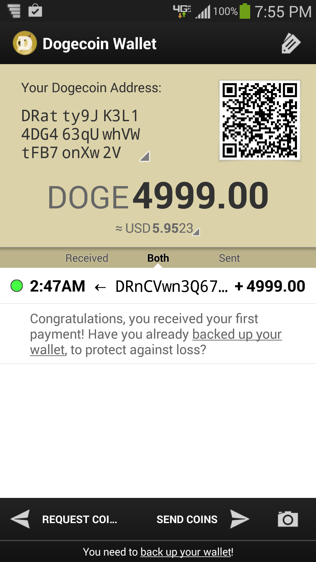 How do I backup a Dogecoin wallet? - Dogecoin