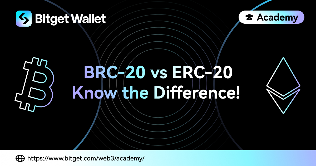 ERC20 vs ERC vs ERC What’s the difference? | Artiffine
