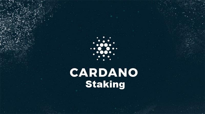 Cardano Self-custodial Staking and Why it is Important