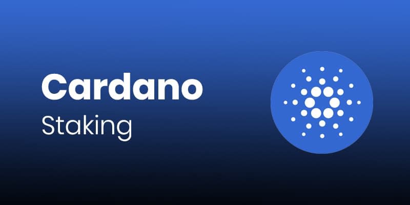 Stake Cardano with Kiln enterprise-grade staking