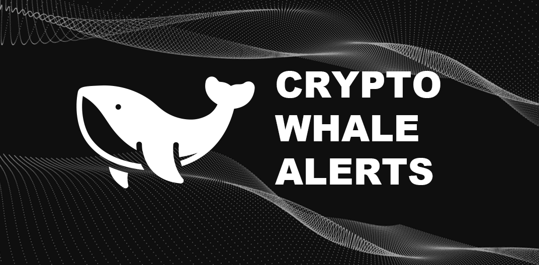 How to Track Crypto Whales Using a Crypto Whale Tracker