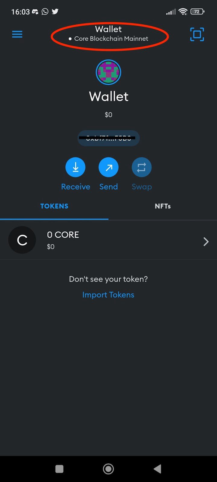 How to Add Core Mainnet to MetaMask Wallet