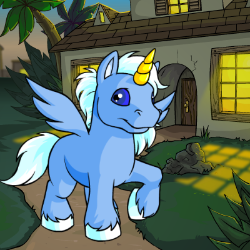 NeoPets Lists/Finders – Coins List