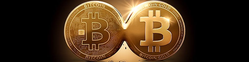 Bitcoin Gold (BTG) live coin price, charts, markets & liquidity