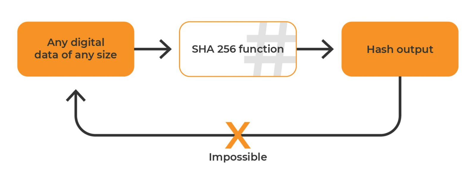 Shop SHA Algorithm ASIC Miners - CryptoMinerBros