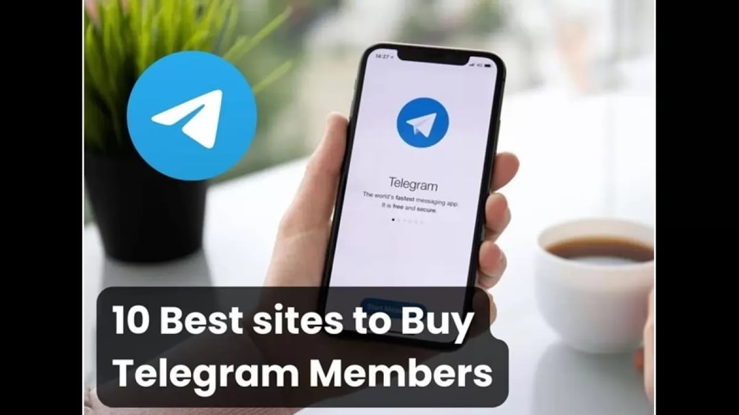 Buy Telegram Members — Cheap and Fast Offers ❤️