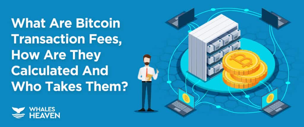 Bitcoin: Why a jump in BTC transaction fees is crucial for the network - AMBCrypto