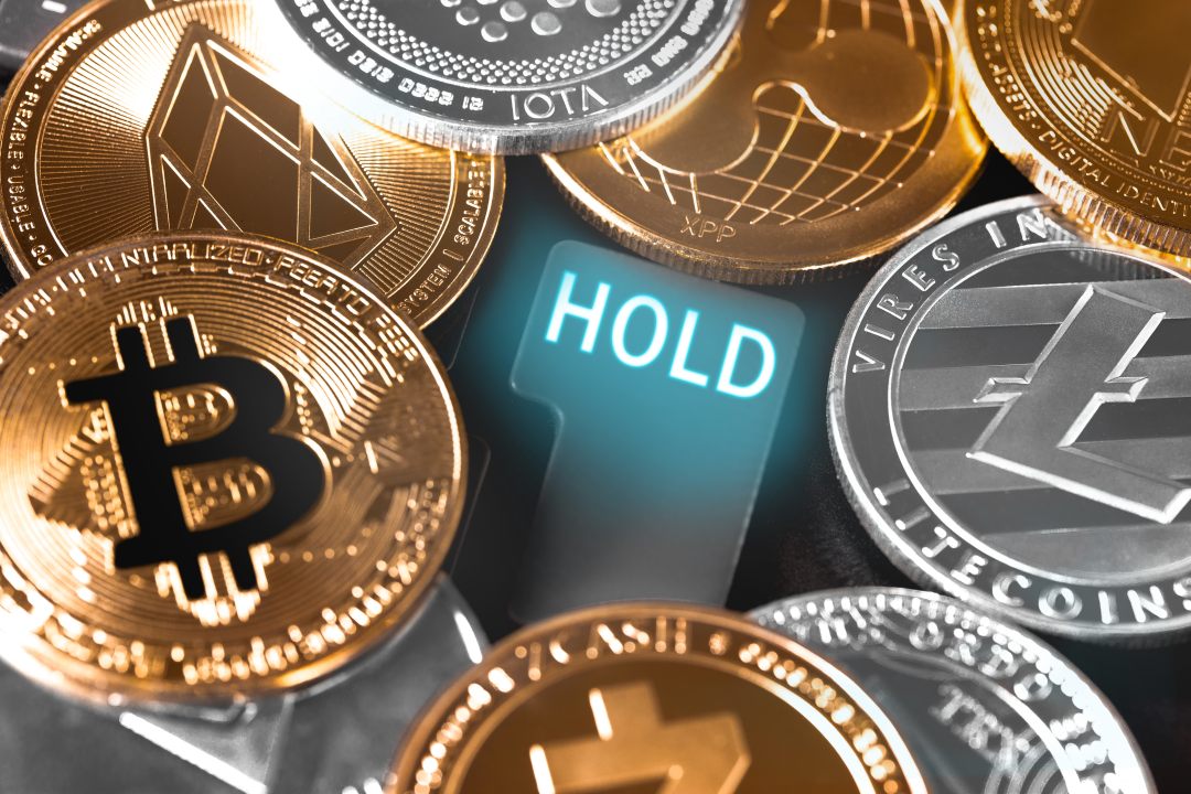Bitfinex Investor's Crypto Lending Startup Posts $M in Revenue - CoinDesk