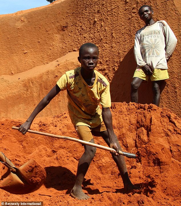 1, cattle die from mining pollution - Zimbabwe | ReliefWeb