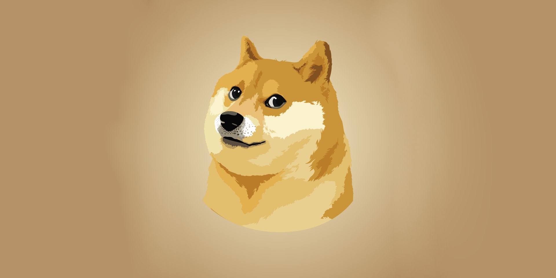 Doge - What does doge mean?
