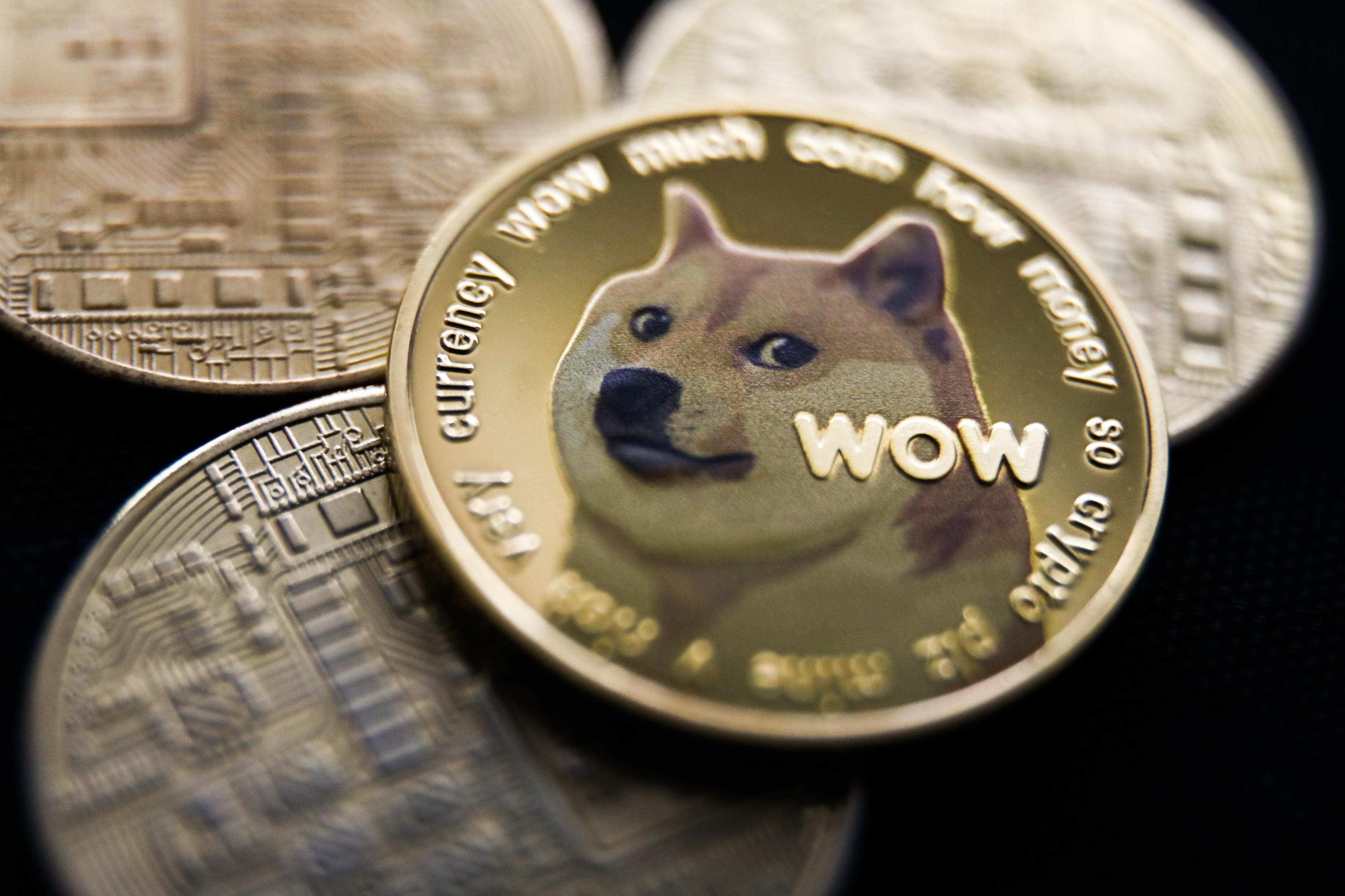 Dogecoin jumps % in one day, nearly % in a week. Here’s what’s going on