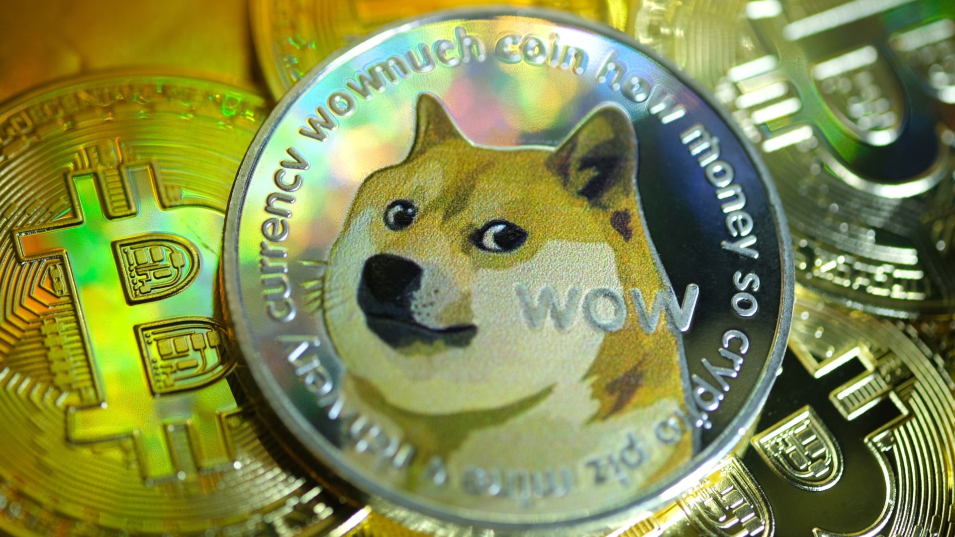 Dogecoin Price | DOGE Price Index and Live Chart - CoinDesk