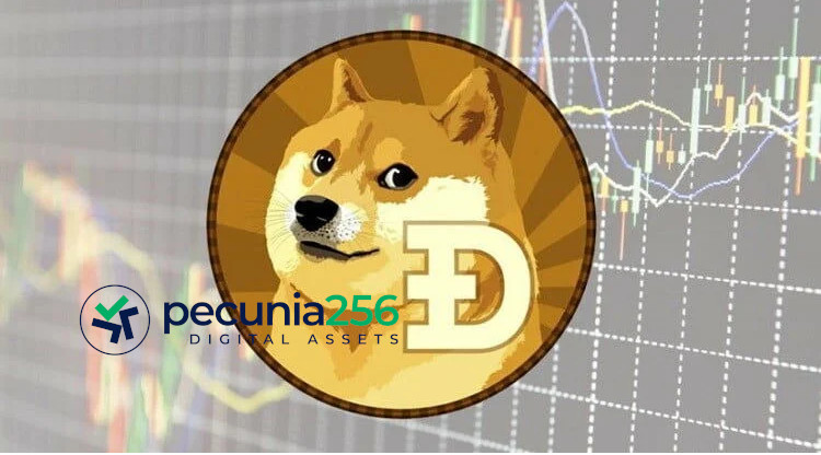 Convertir Bitcoins a Dogecoin | Conversor de criptomonedas | IFCM México