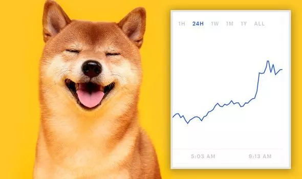Dogecoin Price Today - Live DOGE to USD Chart & Rate | FXEmpire